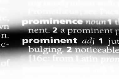 bir sözlüğü'ndeki belirgin sözcüğü. önemli kavramı.