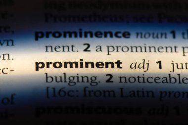 bir sözlüğü'ndeki belirgin sözcüğü. önemli kavramı.