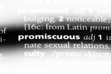 önüne gelenle yatıp kalkan tek kelimeyle bir sözlük. karışık kavramı.