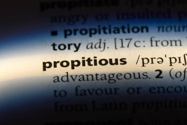 uygun sözcük sözlüğe. uygun kavram.