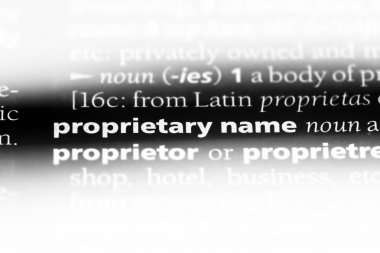 özel adı Word'de bir sözlük. özel isim kavram.