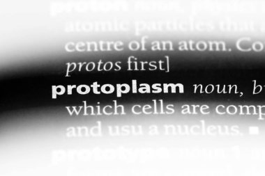 protoplazma Word'de bir sözlük. protoplazma kavramı.