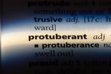 protuberant tek kelimeyle bir sözlük. protuberant kavramı.