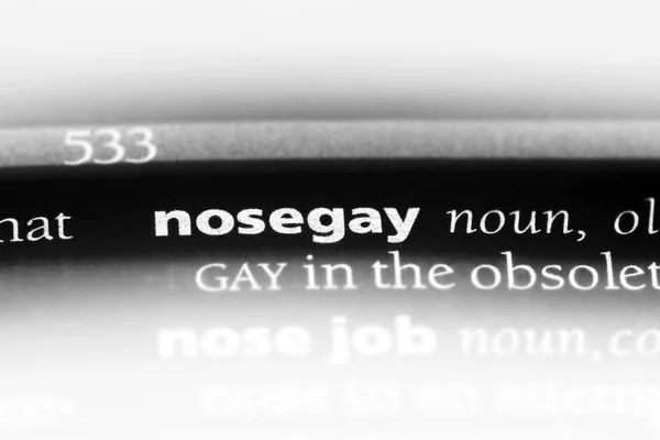 Parola Nosegay Dizionario Concetto Nosegay — Foto Stock