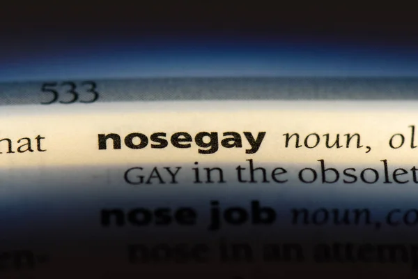 Nosegay Word Dictionary Nosegay Concept — Stock Photo, Image