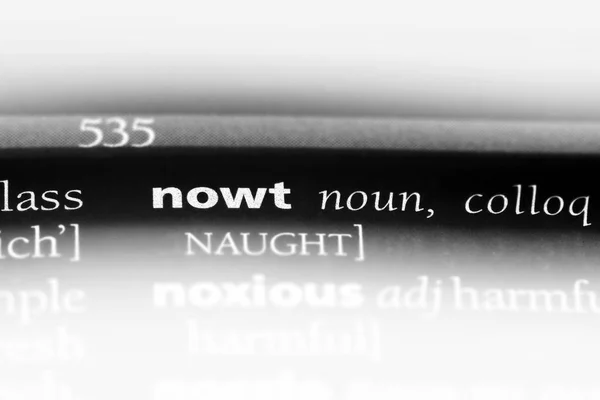 Nowt 词典中的单词 Nowt — 图库照片