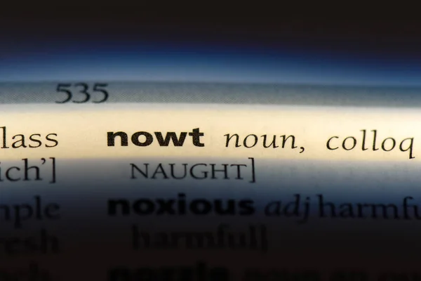Nowt Λέξη Ένα Λεξικό Nowt Έννοια — Φωτογραφία Αρχείου