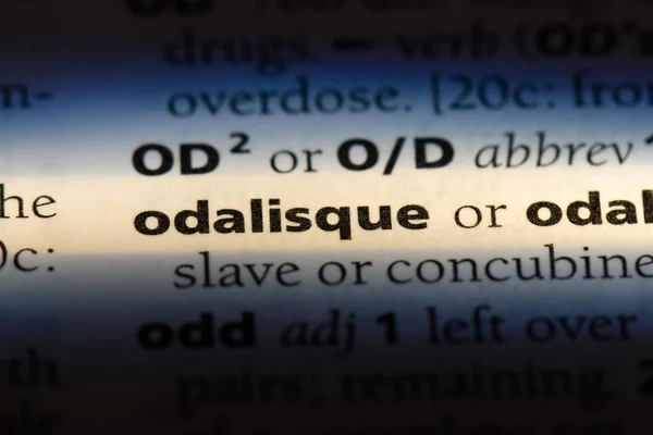 Odalisque Word Dictionary Odalisque Concept — Stock Photo, Image