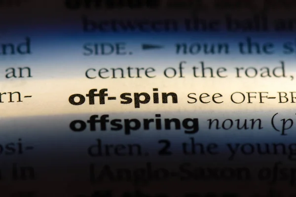 Spin Word Dicionário Conceito Spin — Fotografia de Stock