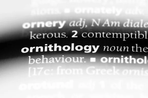 Ornithology Word Dictionary Ornithology Concept — Stock Photo, Image