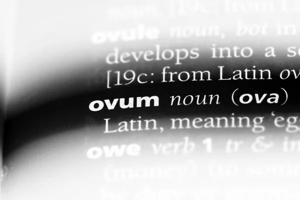 Ovum Ord Ordbok Ovum Koncept — Stockfoto