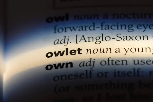 Owlet Word Dictionary Owlet Concept — Stock Photo, Image