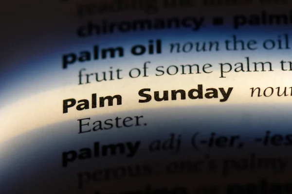 palm sunday word in a dictionary. palm sunday concept.