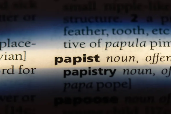 Mot Papiste Dans Dictionnaire Concept Papiste — Photo