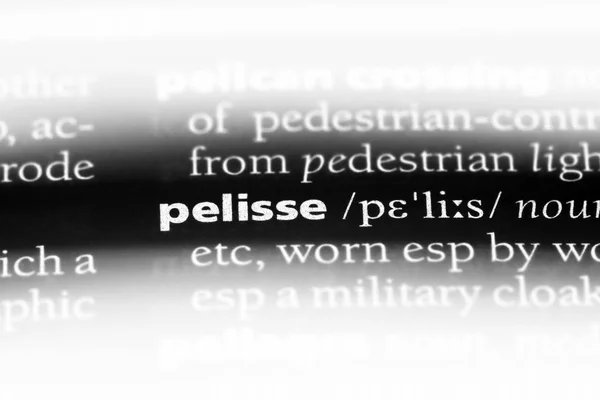 Pelisse Słowo Słowniku Koncepcja Pelisse — Zdjęcie stockowe