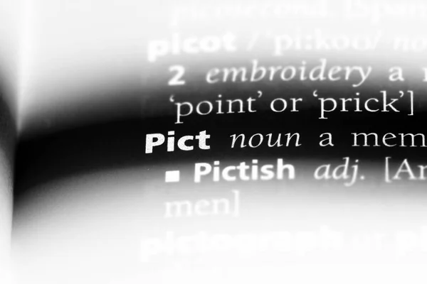 Pict Woord Een Woordenboek Pict Concept — Stockfoto