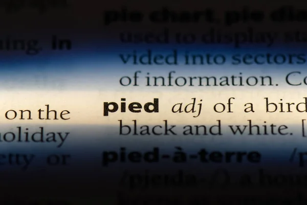 Pied Word Dictionary Pied Concept — Stock Photo, Image