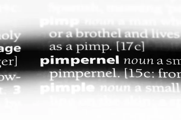 ピンパーネル単語を辞書で ピンパーネルのコンセプト — ストック写真