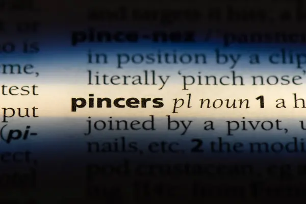 Pincers Word Dictionary Pincers Concept — Stock Photo, Image