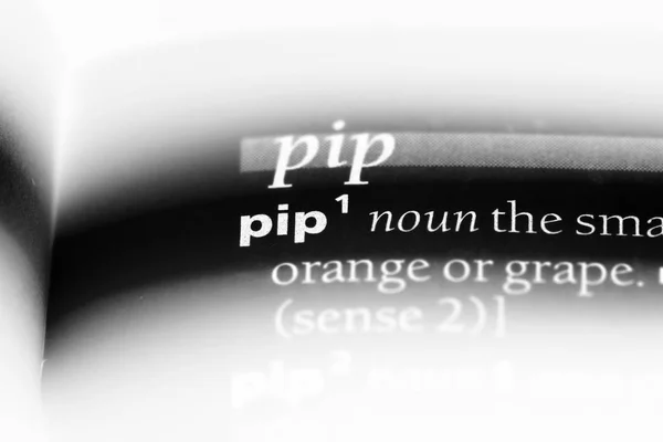 Pip Word Dizionario Concetto Pip — Foto Stock