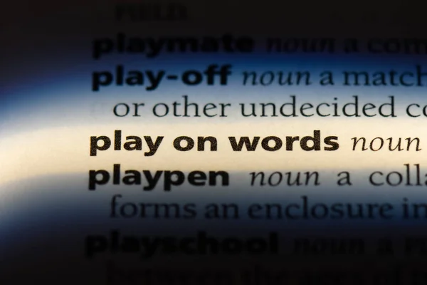 play on words word in a dictionary. play on words concept.