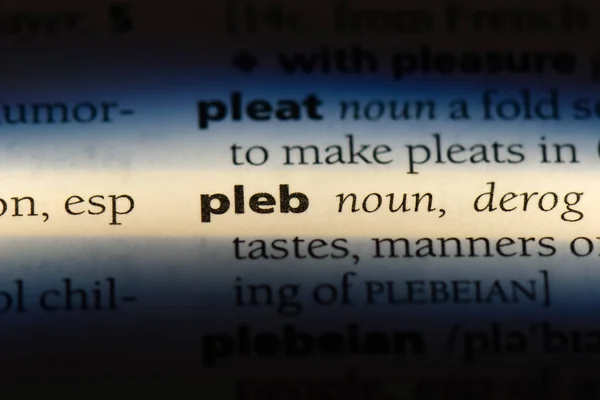 사전에 단어를 Pleb입니다 Pleb — 스톡 사진