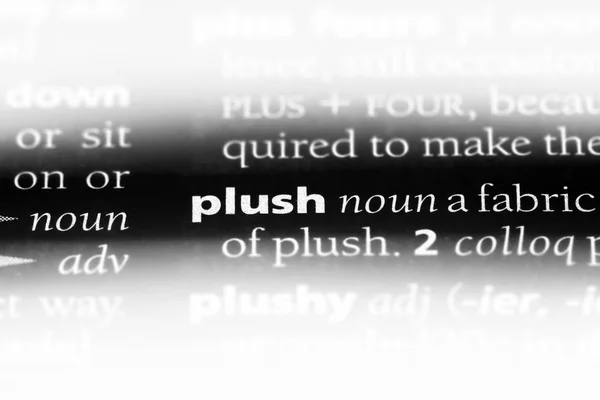 Pluszowe Słowo Słowniku Koncepcja Pluszowe — Zdjęcie stockowe