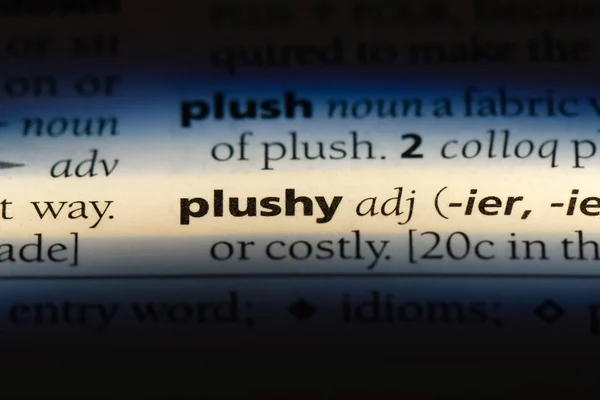 Plushy Word Dictionary Plushy Concept — Stock Photo, Image