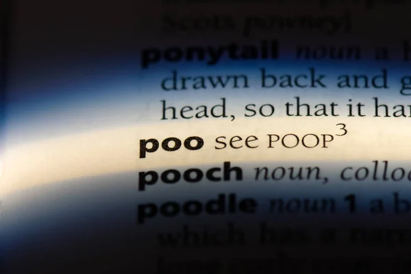 Poo Word Dictionary Poo Concept — Stock Photo, Image