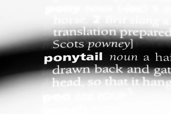 Pony Tail Word Dictionary Pony Tail Concept — Stock Photo, Image