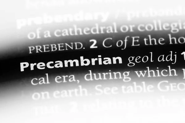 사전에 Precambrian 단어입니다 — 스톡 사진