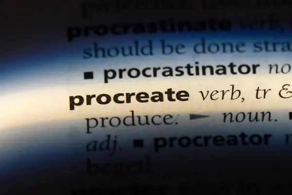 Procreate Słowo Słowniku Koncepcję Prokreacji — Zdjęcie stockowe