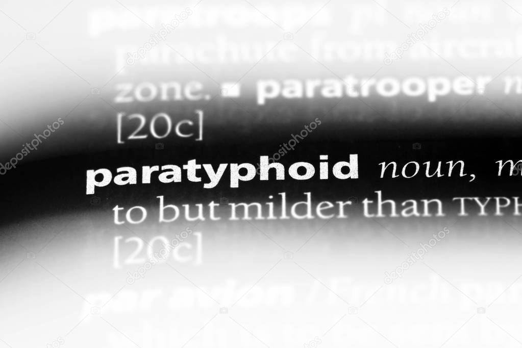 paratyphoid word in a dictionary. paratyphoid concept.