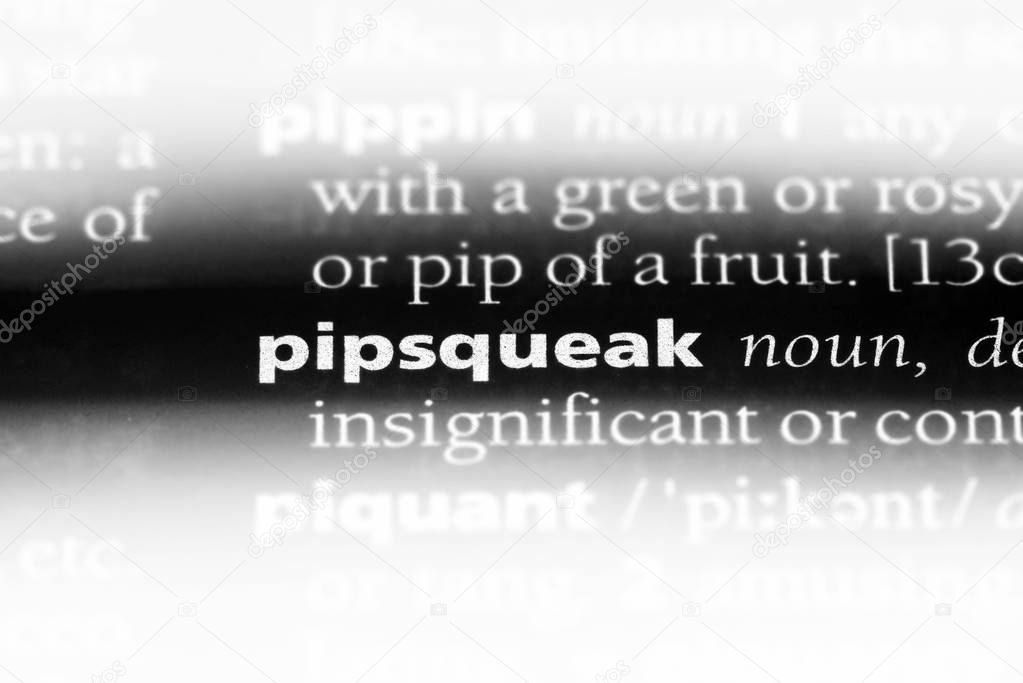 pipsqueak word in a dictionary. pipsqueak concept.