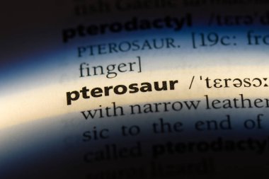 bir sözlüğü'ndeki Pterosaur sözcüğü. Pterosaur kavramı.
