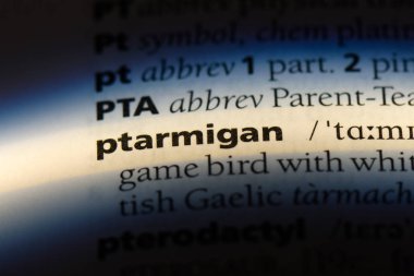 bir sözlüğü'ndeki Ptarmigan sözcüğü. Ptarmigan kavramı.