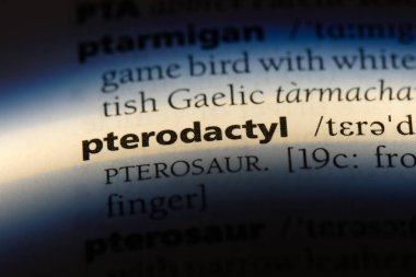 Pterodactyl Word'de bir sözlük. Pterodactyl kavramı.