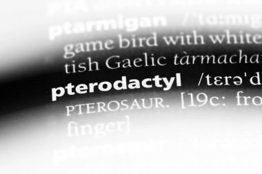 Pterodactyl Word'de bir sözlük. Pterodactyl kavramı.