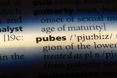 kasık kemikleri Word'de bir sözlük. kasık kemikleri kavramı.