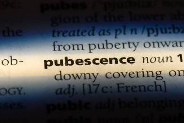 hastada Word'de bir sözlük. hastada kavramı.