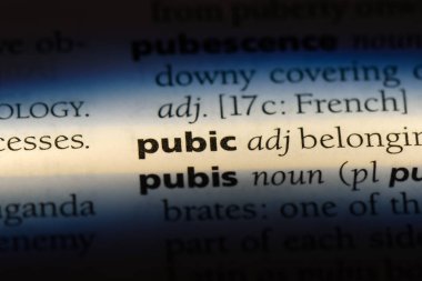 kasık tek kelimeyle bir sözlük. kasık kavramı.