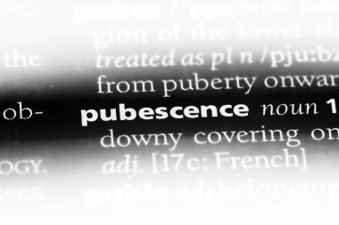 hastada Word'de bir sözlük. hastada kavramı.