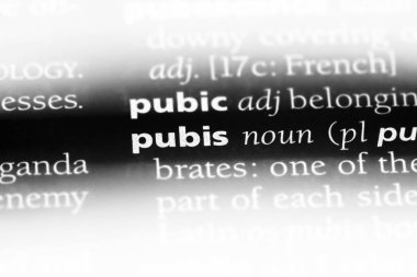 pubis Word'de bir sözlük. pubis kavramı.