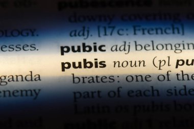 pubis Word'de bir sözlük. pubis kavramı.