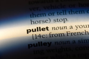 Sözlükte pullet kelimesi. pullet konsepti.