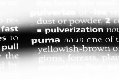 Puma Word'de bir sözlük. Puma kavramı.