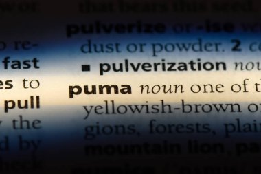 Puma Word'de bir sözlük. Puma kavramı.