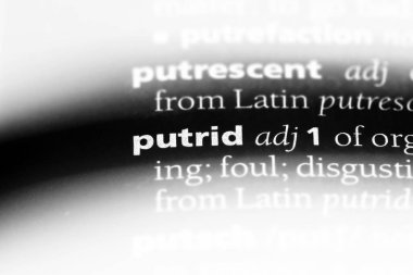bir sözlüğü'ndeki kokuşmuş sözcüğü. çürümüş kavramı.
