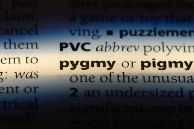 bir sözlüğü'ndeki cüce sözcüğü. Pigme kavramı.