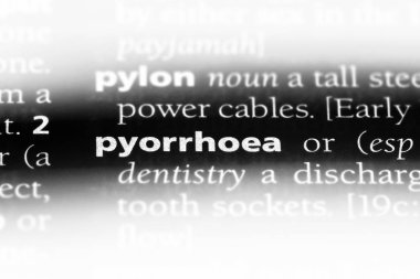 irin Word'de bir sözlük. irin kavramı.